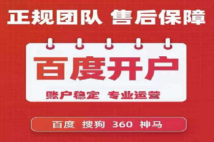 搜索引擎营销（SEM）在移动端的推广案例
